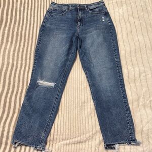 American Eagle Outfitters Blue Straight Leg Jeans